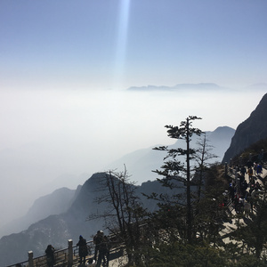 东北浓毛少妇A片
